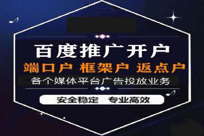 网络推广与竞价策略实战案例